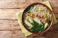 Tasty noodle soup with mushrooms, green onions and bok choy closeup in a bowl. Horizontal top view