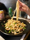 tasty noodles with chicken in soy sauce with spinach and green onion Royalty Free Stock Photo