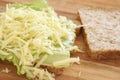 Tasty open cheese sandwich on wholewheat Royalty Free Stock Photo