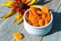 Tasty orange dried apricots in a blue bowl on a wooden background with a flower. Royalty Free Stock Photo