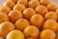 Tasty oranges on the table. Sunny fresh fruits