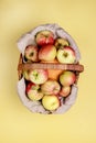 Tasty Organic Apples and Small Pumpkin in Basket on Yellow Background Vertical Top View Harvest Time Autumn Fruits in Basket Royalty Free Stock Photo