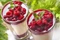 Tasty pana cotta Royalty Free Stock Photo