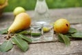 Tasty pear brandy in shot glass Royalty Free Stock Photo