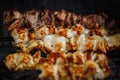 Tasty picnic food. hot gourmet barbecue, shashlik, kebab, skewer on the grill Royalty Free Stock Photo