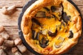 Tasty pie, quiche, pizza with mushrooms, cheddar cheese, chicken Royalty Free Stock Photo