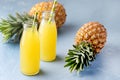 Tasty Pineapple Cocktail or Juice in Two Glass Bottles with Straws and Two Pineapples on a Blue Background Royalty Free Stock Photo