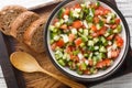 Tasty Pipirrana is a simple Spanish salad from Andalusia with tomatoes, cucumbers, bell peppers and onion closeup on the plate.