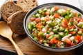 Tasty Pipirrana is a simple Spanish salad from Andalusia with tomatoes, cucumbers, bell peppers and onion closeup on the plate.