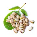 Tasty pistachio nut isolated on white background. Top view