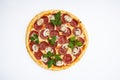 Tasty pizza for restaurant menu on a light background3 Royalty Free Stock Photo