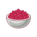 Tasty Pomegranate Arils Royalty Free Stock Photo