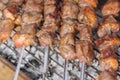 Tasty pork on skewers cooking outdoor on smoldering carbons Royalty Free Stock Photo