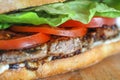 Tasty pork steak sandwich in a ciabatta with tomatos, lettuce Royalty Free Stock Photo