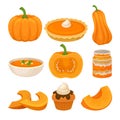 Tasty pumpkin dishes set, fresh ripe pumpkin and traditional Thanksgiving food vector Illustration on a white background Royalty Free Stock Photo