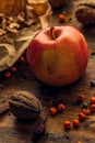 Tasty red apple and walnut fruit Royalty Free Stock Photo