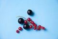 Tasty red and black currant berries on blue Royalty Free Stock Photo