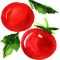 Tasty red tomatoes