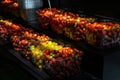 Tasty red and yellow cherry tomatoes on black background Royalty Free Stock Photo