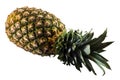 Tasty ripe ananas or pineapple