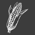 Tasty Ripe Corn Cob White Silhouette