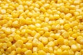 Tasty ripe corn kernels as background Royalty Free Stock Photo