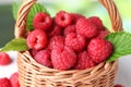 Tasty ripe raspberries and green leaves in wicker basket, closeup Royalty Free Stock Photo