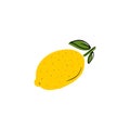 Tasty ripe yellow lemon witth leaf with black lline isolated on white background. Hand drawn vector flat cartoon doodle Royalty Free Stock Photo