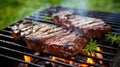 Tasty roasted beef steak with spices on the barbecue