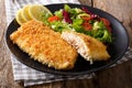 Tasty roasted Fish fillet in breadcrumbs and fresh vegetables cl