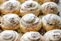 Tasty rows of cinnamon buns with cream-cheese Royalty Free Stock Photo