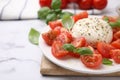 Tasty salad Caprese with mozarella, tomatoes and basil on white marble table, closeup