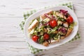 Tasty salad of grilled chicken, tomatoes and herbs with balsamic Royalty Free Stock Photo