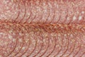 Tasty salami slices close up Royalty Free Stock Photo