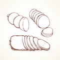 Sausage. Vector drawing