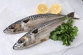 Tasty salted mackerels, parsley and cut lemons on white table, closeup