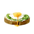 Tasty sandwich with fried eggs, olives, guacamole. Watercolor illustration isolated on white background. Vector
