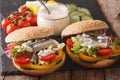 Tasty sandwich with herring, sauce and vegetables close-up. hori Royalty Free Stock Photo