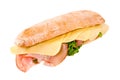 Tasty sandwich isolated