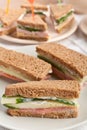 Tasty Sandwiches on Brown Bread Royalty Free Stock Photo