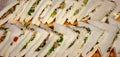 Tasty sandwiches ready to be enjoyed, placed on a tray, the sandwich, bread stuffed with what is considered the best is a sandwic Royalty Free Stock Photo