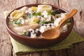 Tasty Scottish chicken soup with leeks and prunes close up in a