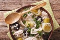 Tasty Scottish chicken soup with leeks and prunes close up in a