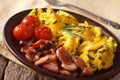 Tasty scrambled eggs and chives, bacon on a plate. horizontal Royalty Free Stock Photo