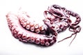 Tasty sea delicacy. Octopus tentacles on white background. Horisontal shot. Close-up