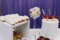 Tasty selection of delicious desserts, cakes, cupcakes and pastry on a buffet table at banquet, party or wedding