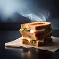 Tasty sliced bread sandwich with melted cheese and smoke coming out lightly toasted food photography Royalty Free Stock Photo