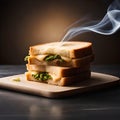 Tasty sliced ??bread sandwich with melted cheese and smoke coming out lightly toasted food photography Royalty Free Stock Photo