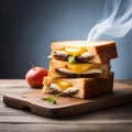 Tasty sliced ??bread sandwich with melted cheese and smoke coming out lightly toasted food photography Royalty Free Stock Photo