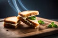 Tasty sliced ??bread sandwich with melted cheese and smoke coming out lightly toasted food photography Royalty Free Stock Photo